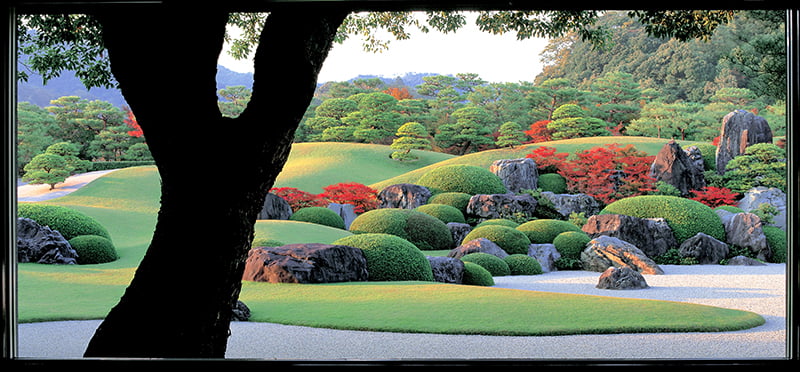 草, 屋外, 窓, 座る が含まれている画像
自動的に生成された説明