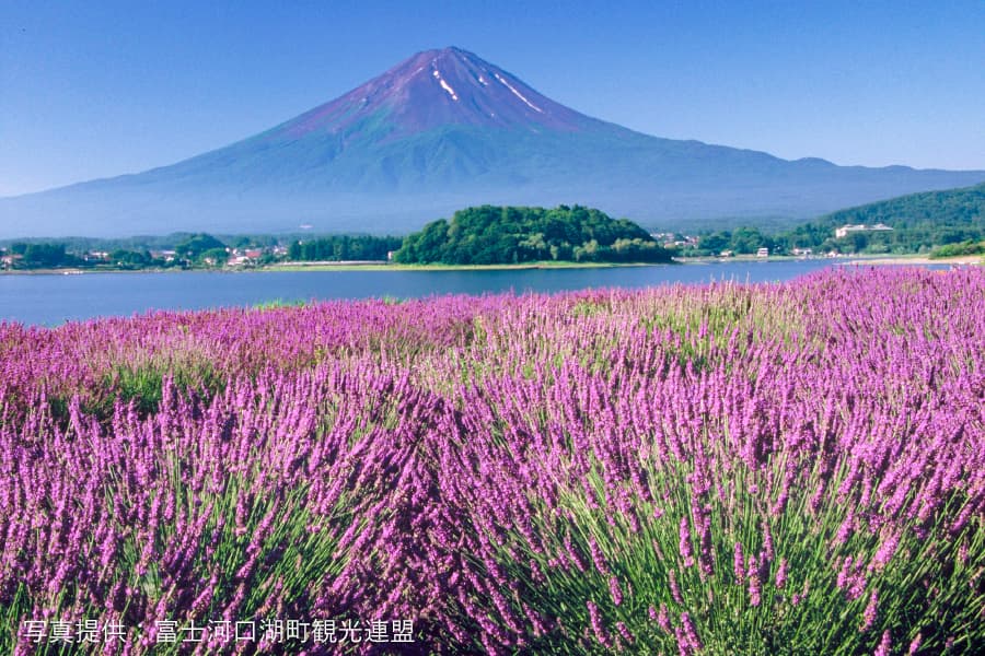 富士山 御殿場プレミアム アウトレット 絶景温泉でスッキリ 静岡空港からレンタカーで行く御殿場 河口湖の旅 ふじそらトラベル