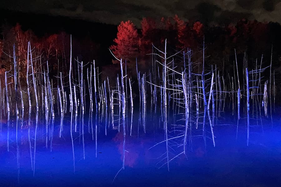 白金青い池の夜の写真