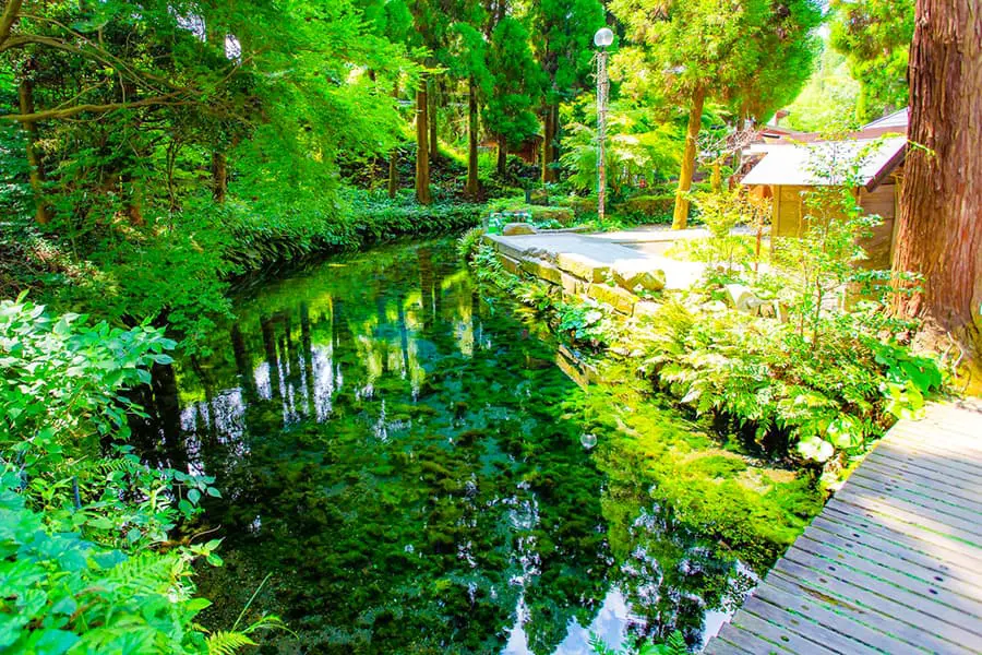 白川水源の写真
