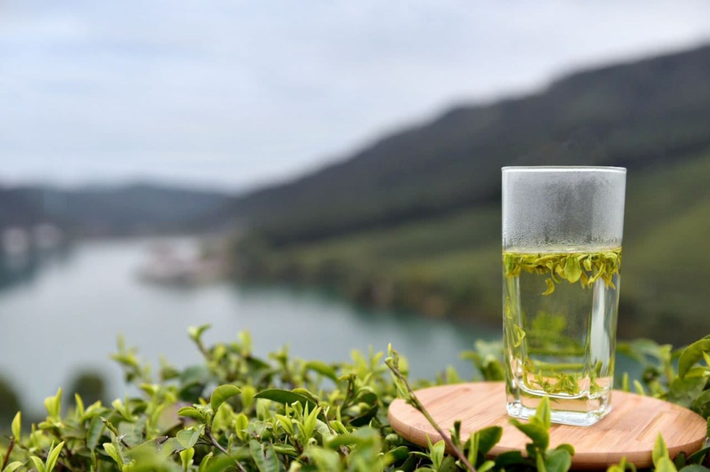 龍井茶,杭州